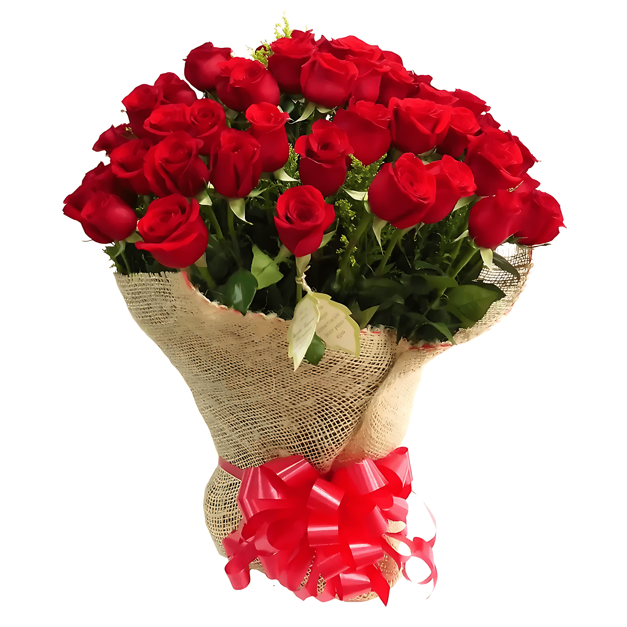 4bb4e161-f19c-4b36-af40-ccf97a42ed4a
