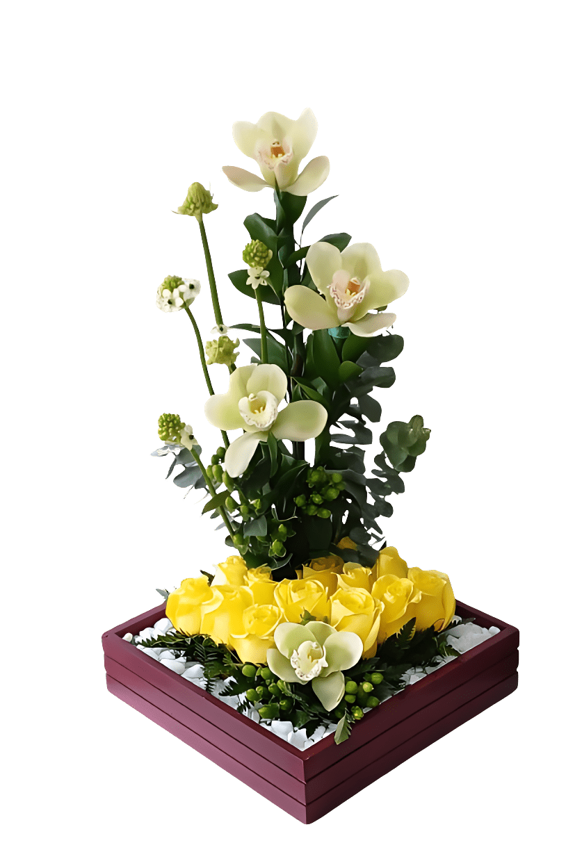 8f54bd8e-3003-44a9-8058-d8e0cb4aefc0