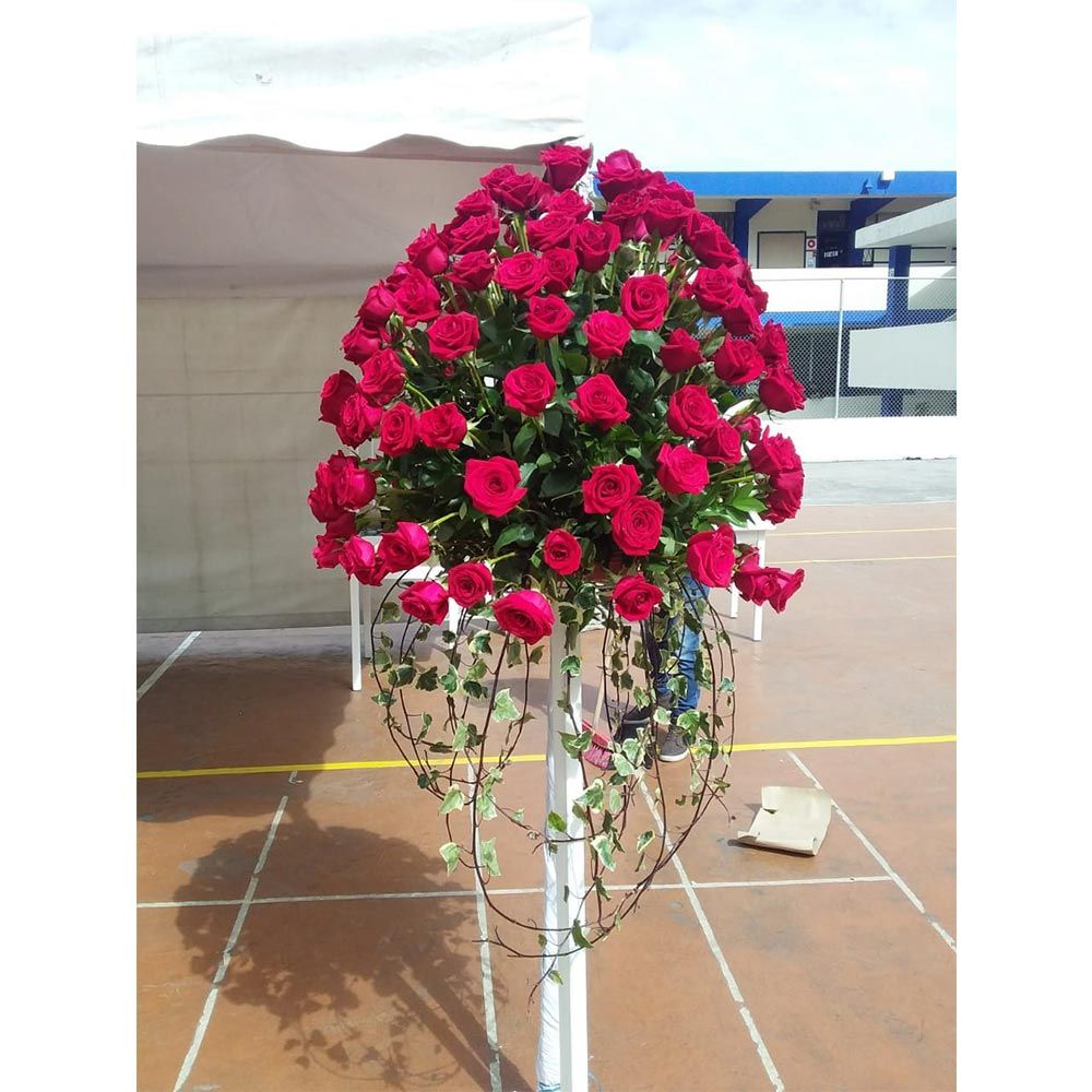 empresariales-007