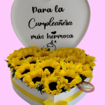 girasoles-2