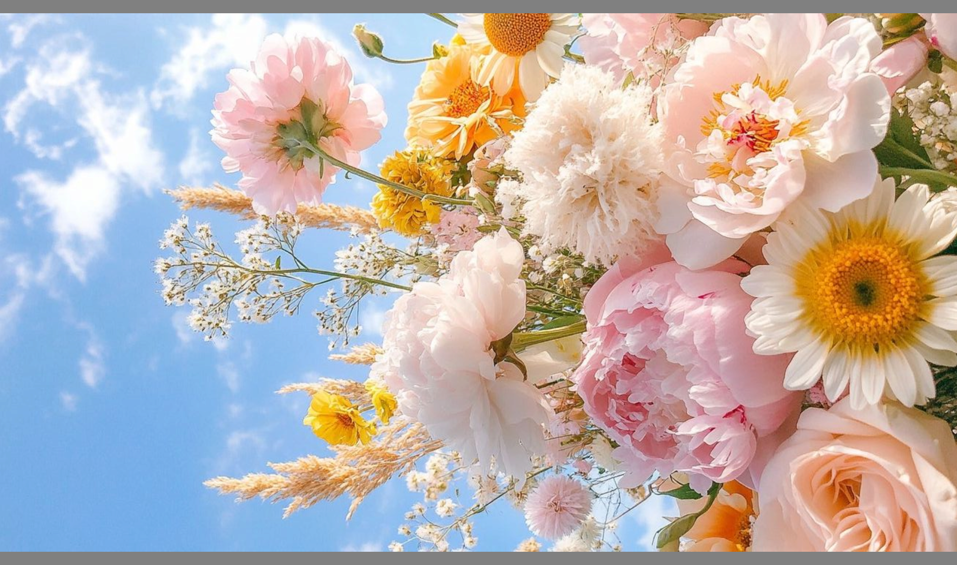 Image Slider